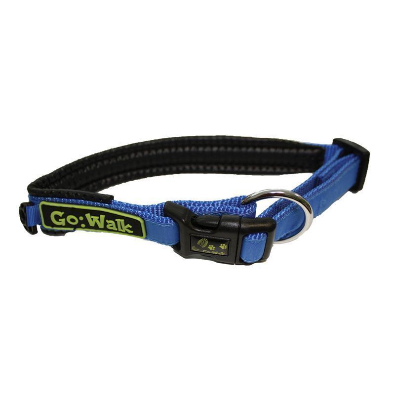 Small Blue Go Walk Dog Collar